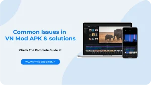 Common Issues in VN Mod APK