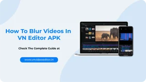 Blur Videos In VN Editor APK