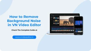 Remove Background Noise in VN Video Editor